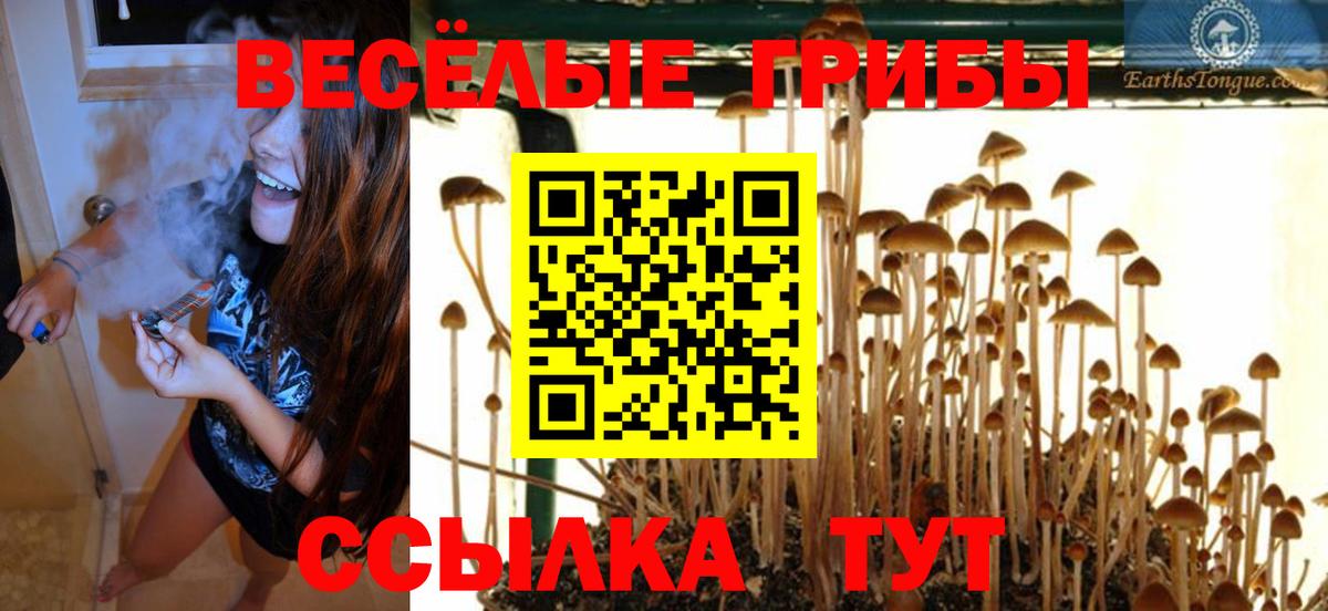 Галлюциногенные грибы Cubensis Черкесск