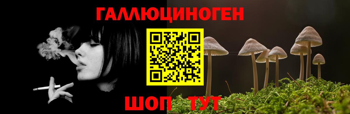 Черкесск  Псилоцибиновые грибы Magic Shrooms  Вход с VPN 